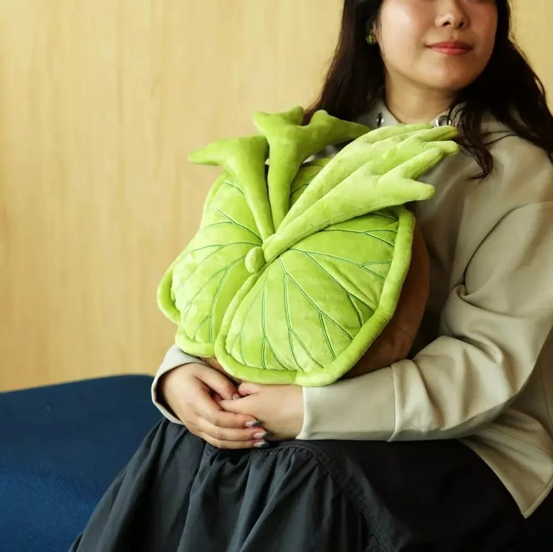 《植物絨毛抱枕》推出 無需澆水也不用擔心枯萎植物系宅小物｜高清图片集