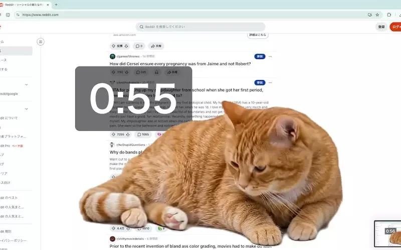 網友開發防沉迷插件《Cat Gatekeeper》上網上太久貓貓就會出現霸佔你的螢幕｜高清图片集