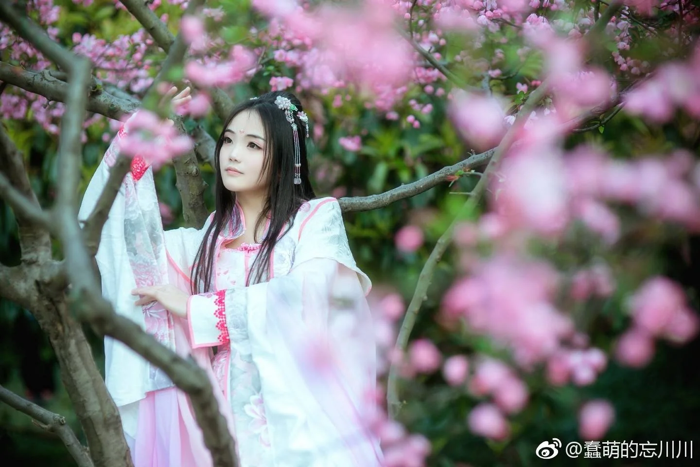 祸国 少女姜沉鱼COS写真