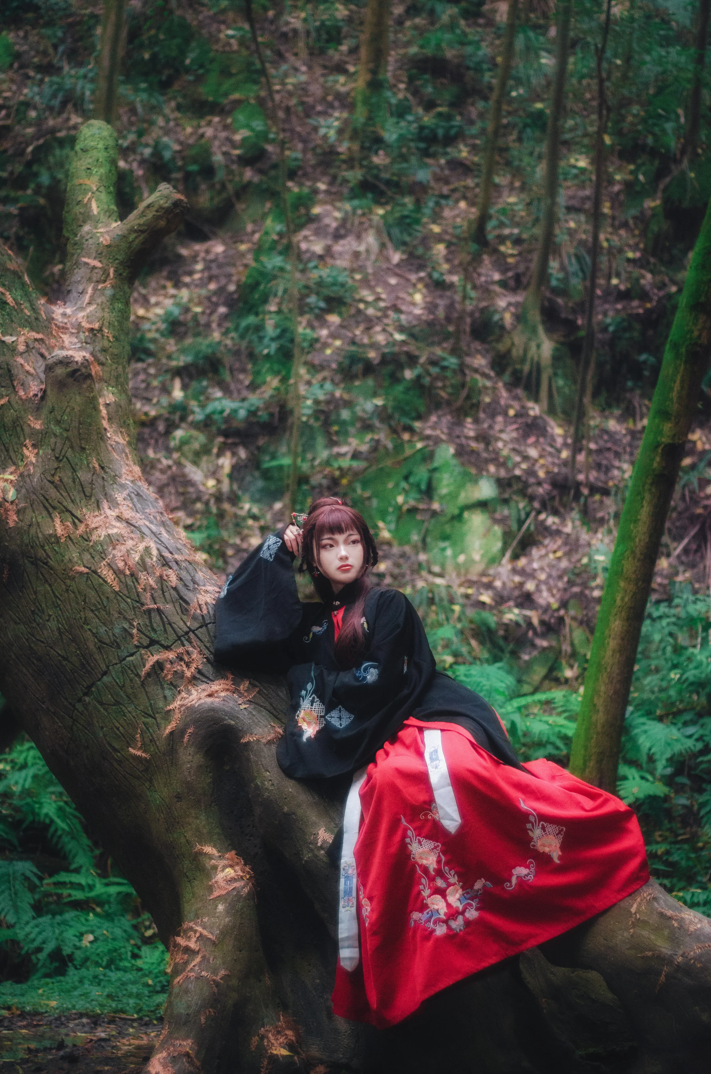 汉服少女私影｜高清图片集