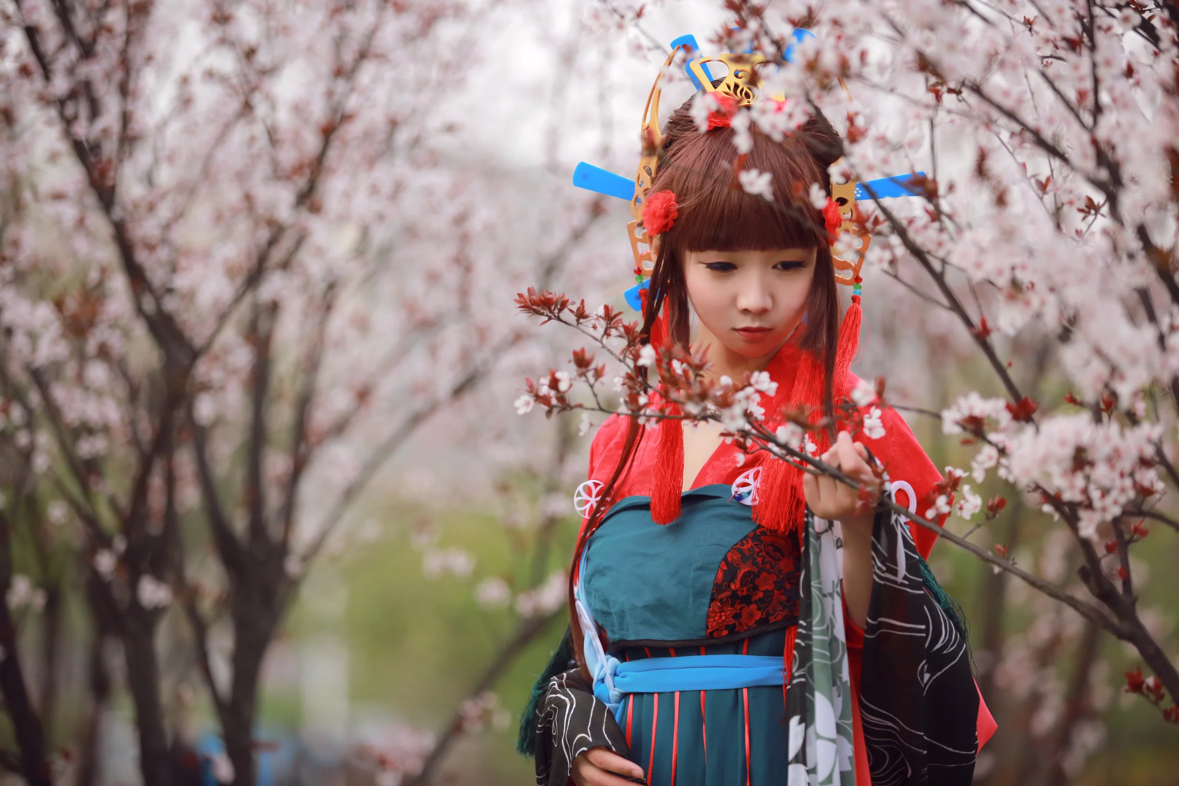 花灯结，提灯少女｜高清图片集