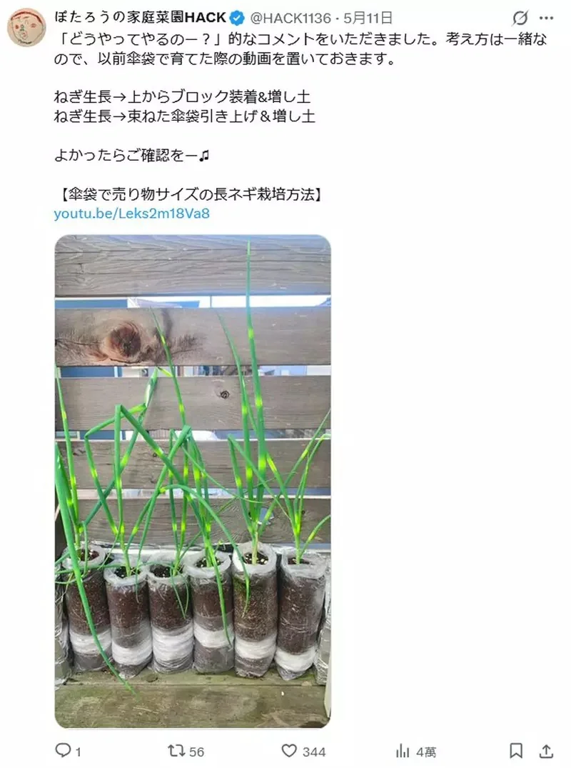 網友分享新穎的家庭菜園種植法 直接在水泥磚的洞裡種蔥會怎樣？｜高清图片集