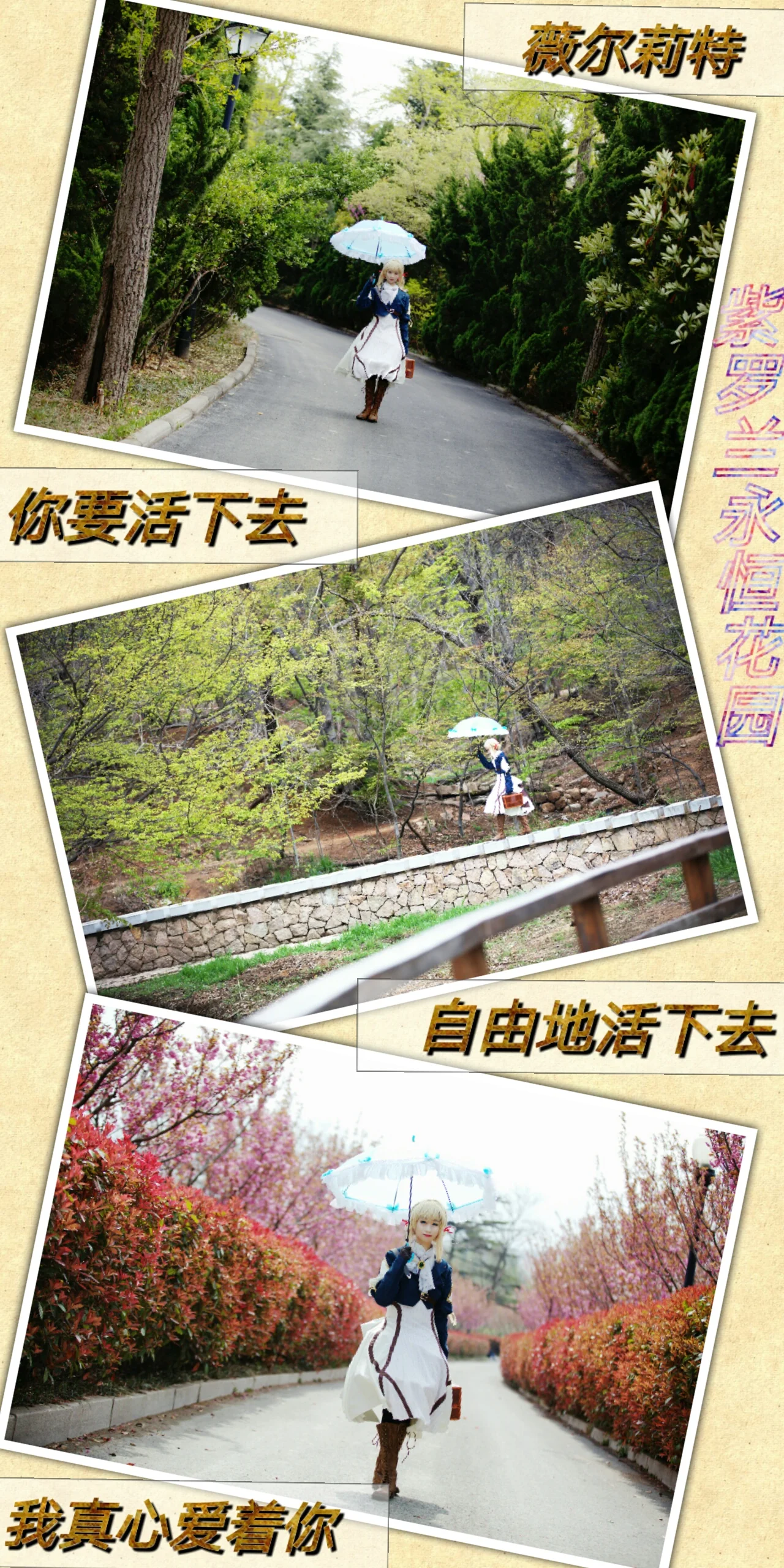 紫罗兰永恒花园 薇尔莉特·伊芙加登COS写真