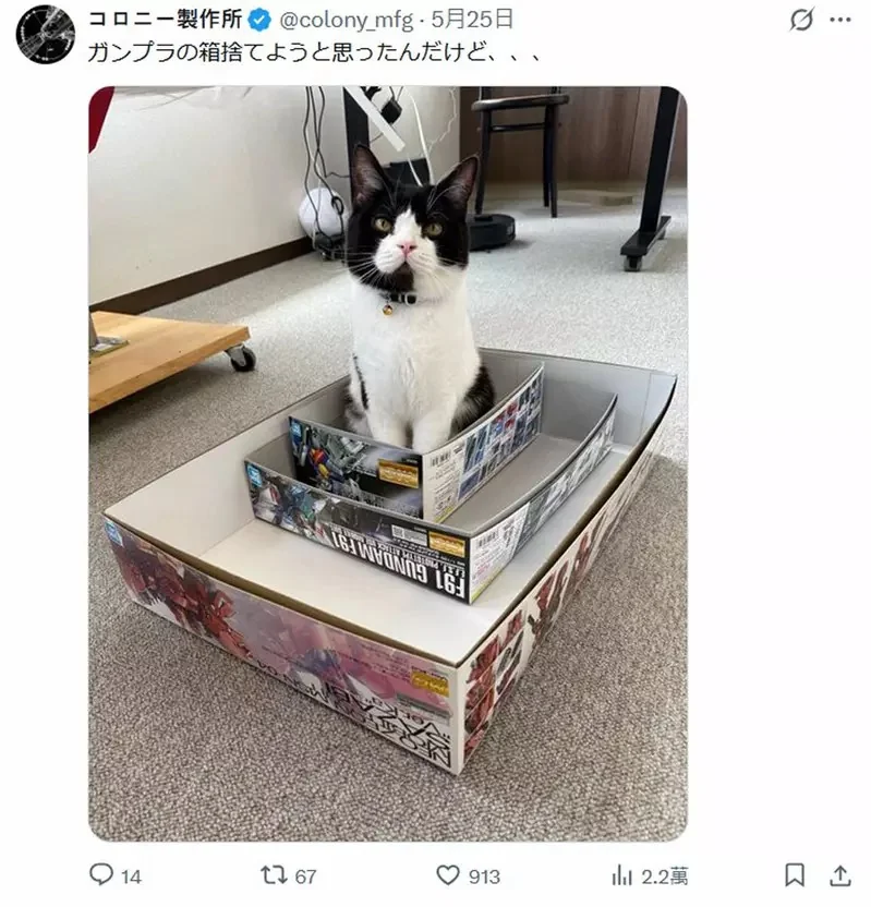 把白色基地當成新家的貓 對於這空間來說貓貓表示:滿意~喵｜高清图片集