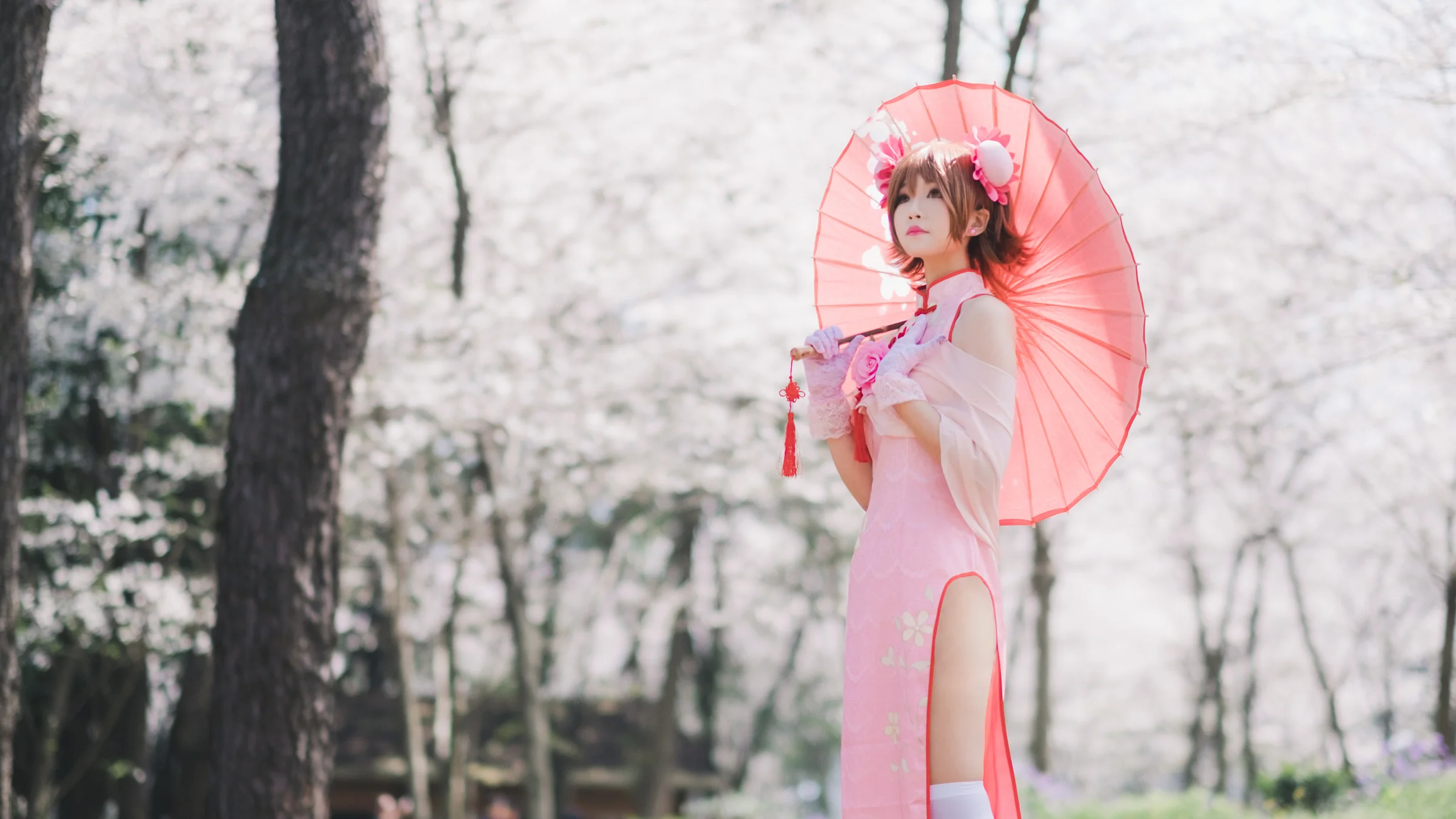 家庭教师 旗袍笹川京子COS写真
