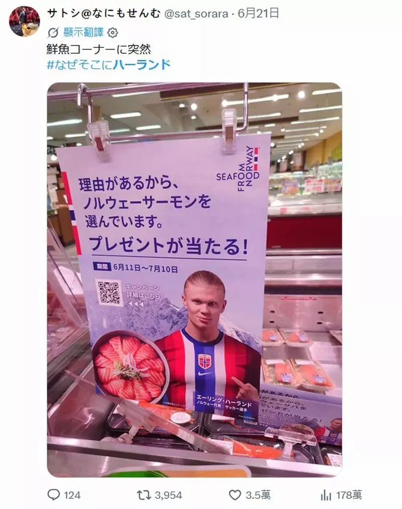 挪威足球員《哈蘭德》分享世足賽進球帥照 非AI修圖而是真實的帥氣進球｜高清图片集