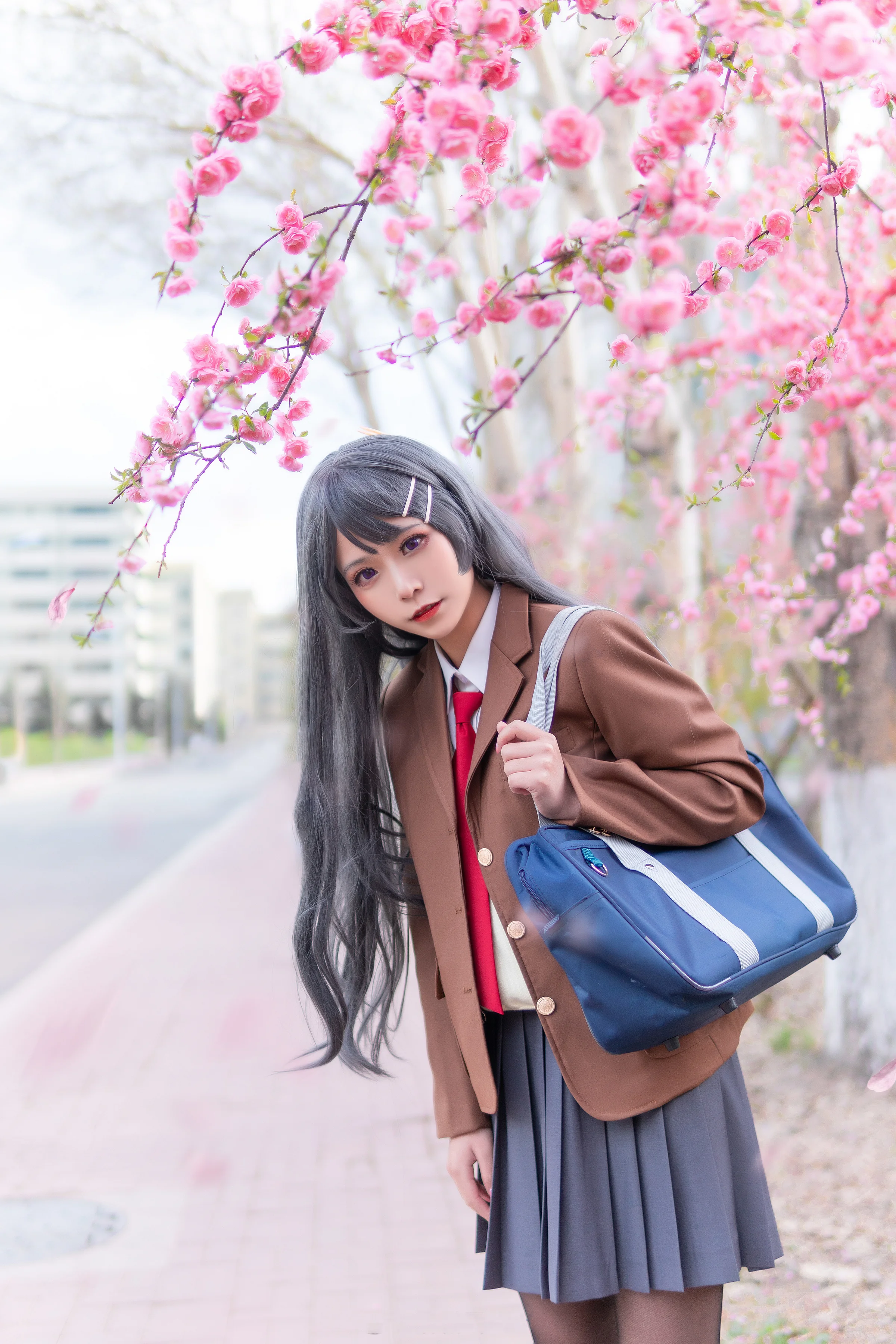 《青春期猪头少年不会梦到兔女郎学姐》樱岛麻衣COS写真