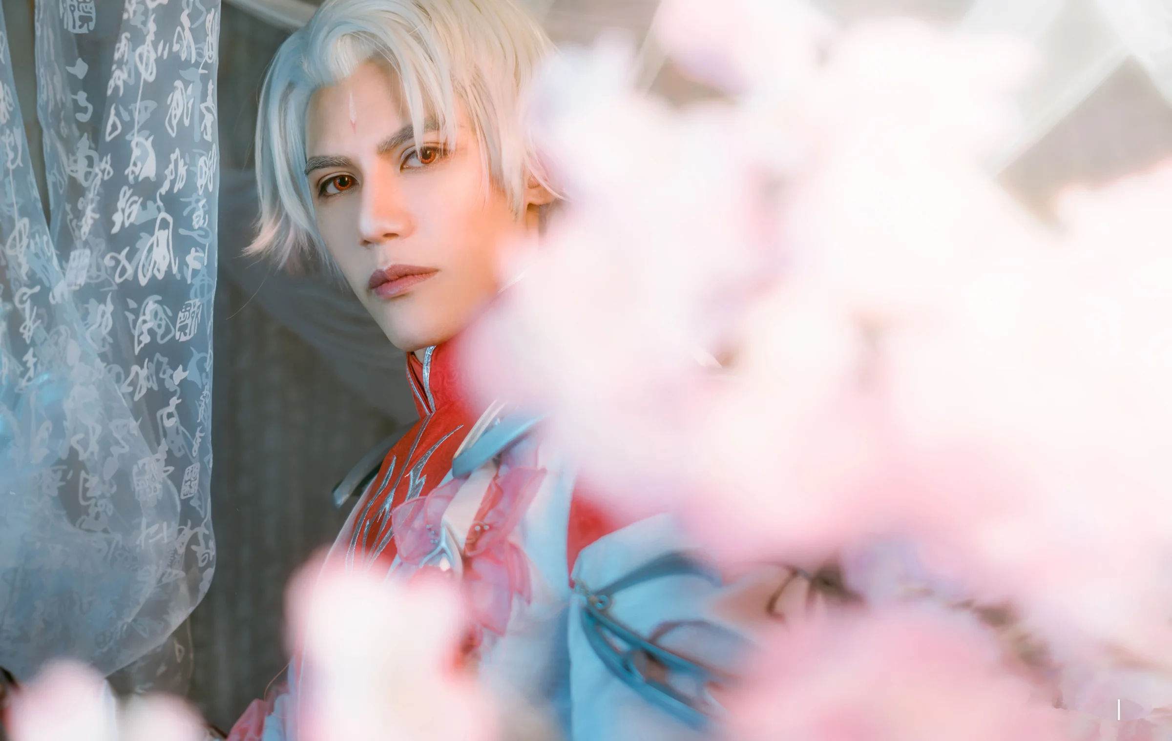 王者荣耀诸葛亮 武陵仙君COS写真