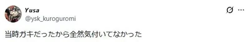 日本網友質疑《寶可夢偷渡黃色笑話》大岩蛇和刺甲貝的組合這麼糟糕嗎？｜高清图片集