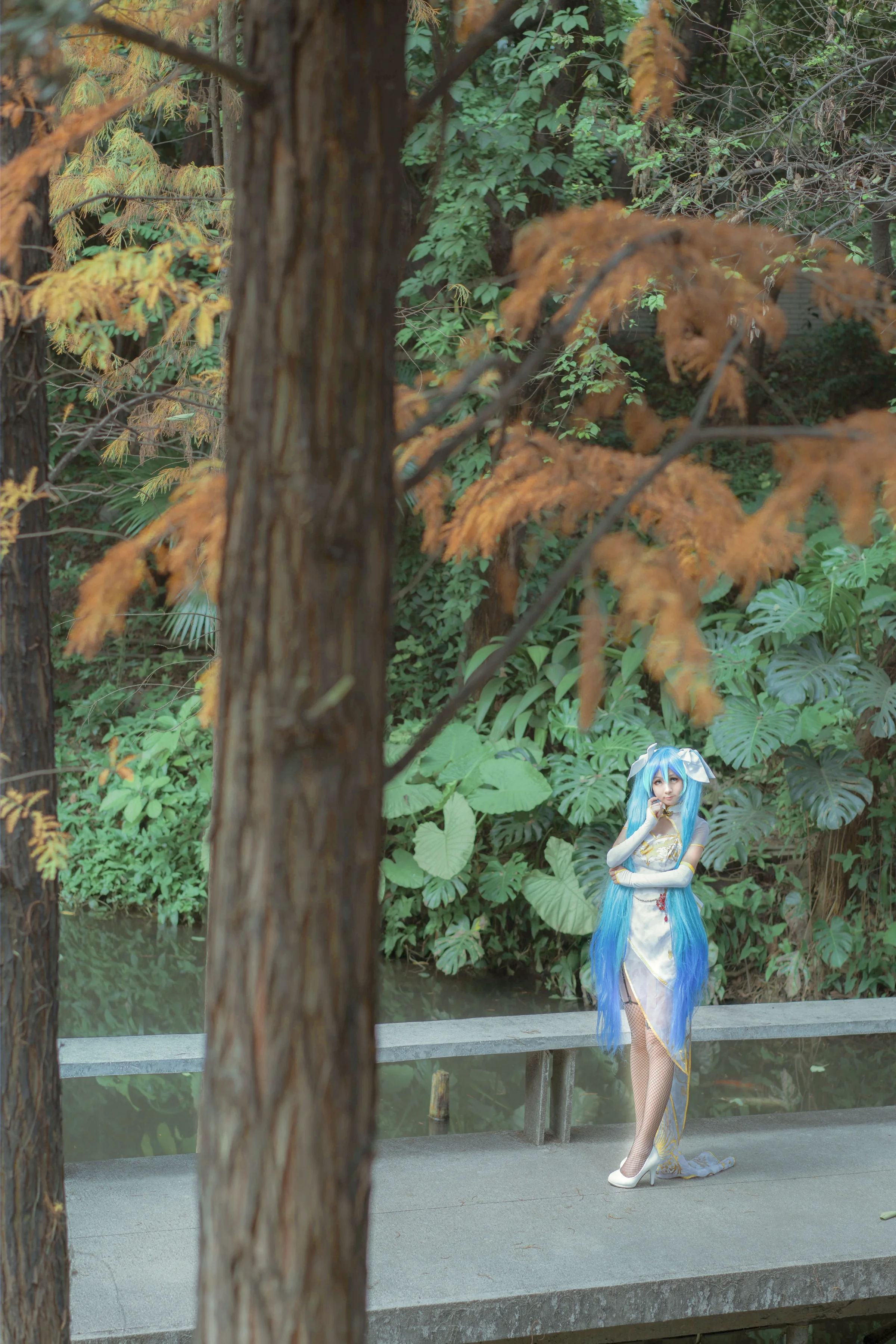 VOCALOIDmiku金丝雀COS写真