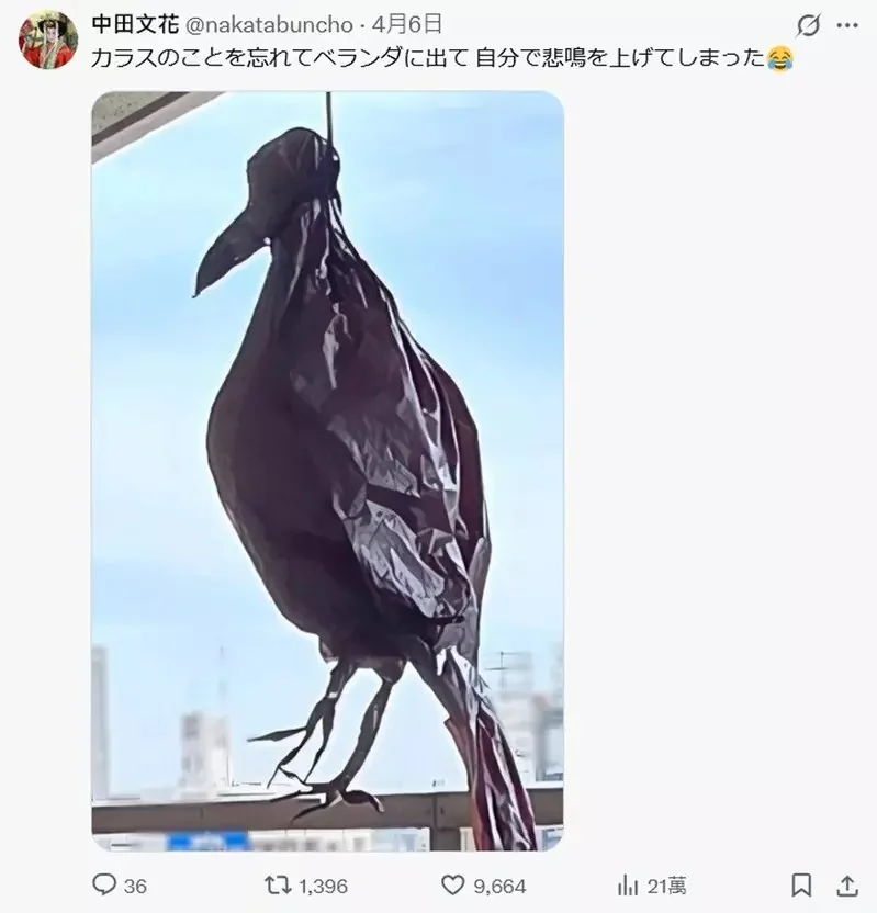 陽台太多鴿子來亂，網友就用塑膠袋做了一隻烏鴉結果發揮了奇效｜高清图片集