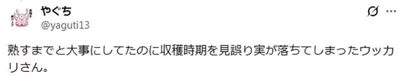 《獵人粉絲看西索》雖然設定上是個狂人小丑 仔細想想卻沒對小傑做什麼壞事？｜高清图片集