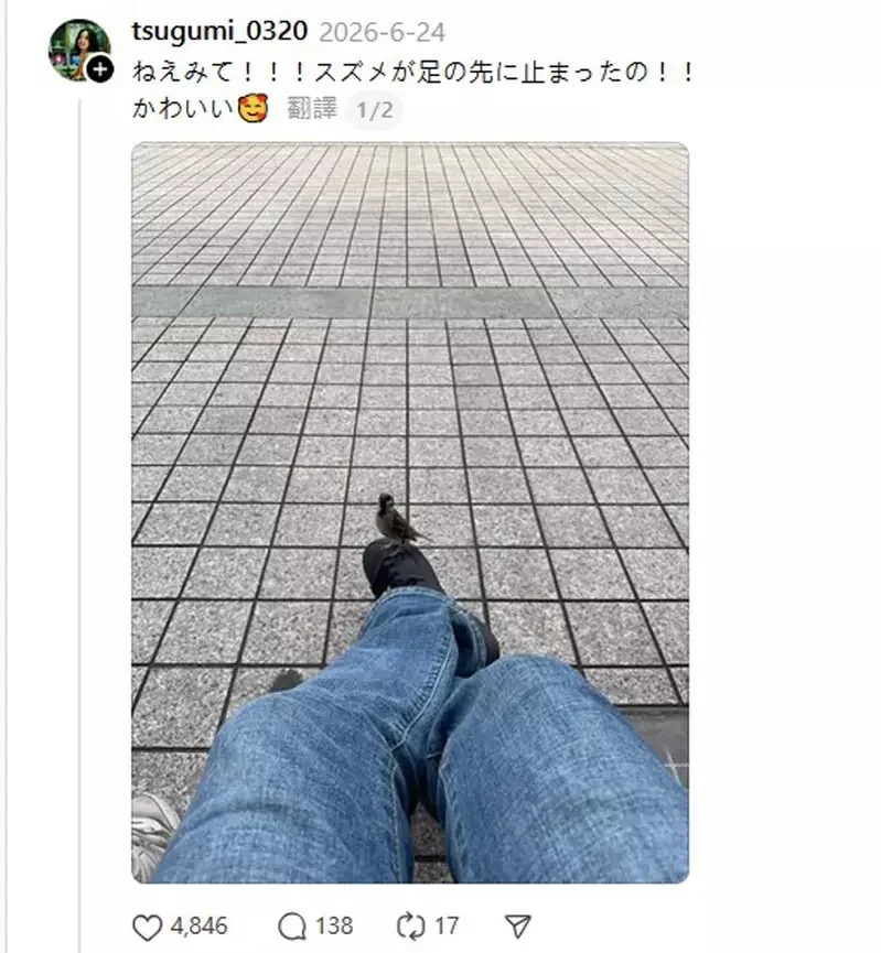 《奇蹟的一幕》在長椅休息的時候麻雀竟然停在自己的鞋子上，這是什麼童話故事般的瞬間！？｜高清图片集