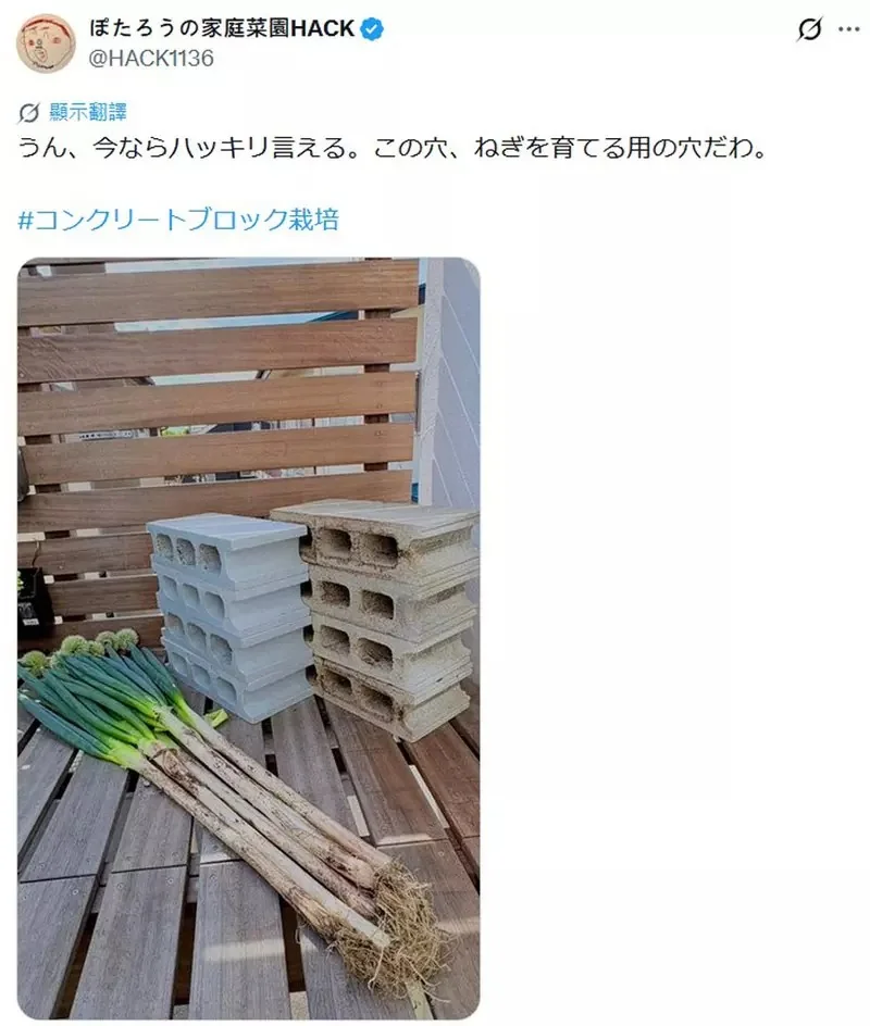 網友分享新穎的家庭菜園種植法 直接在水泥磚的洞裡種蔥會怎樣？｜高清图片集