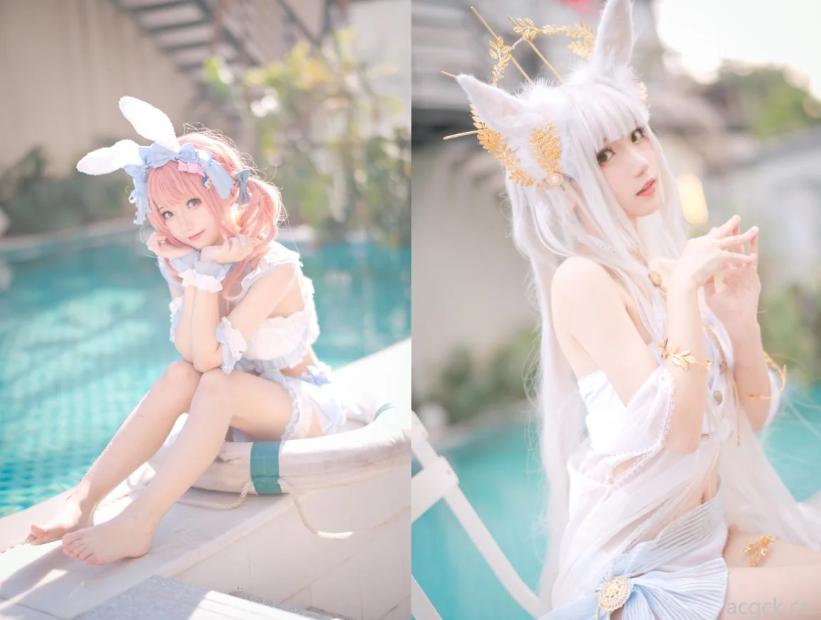 花柒Hana：好可爱的小猫猫 42套合集｜高清图片集