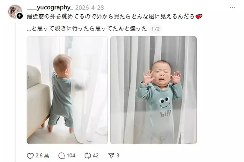 母親捕捉零歲兒眺望窗外場景 從另一側來看畫面超超爆笑｜高清图片集