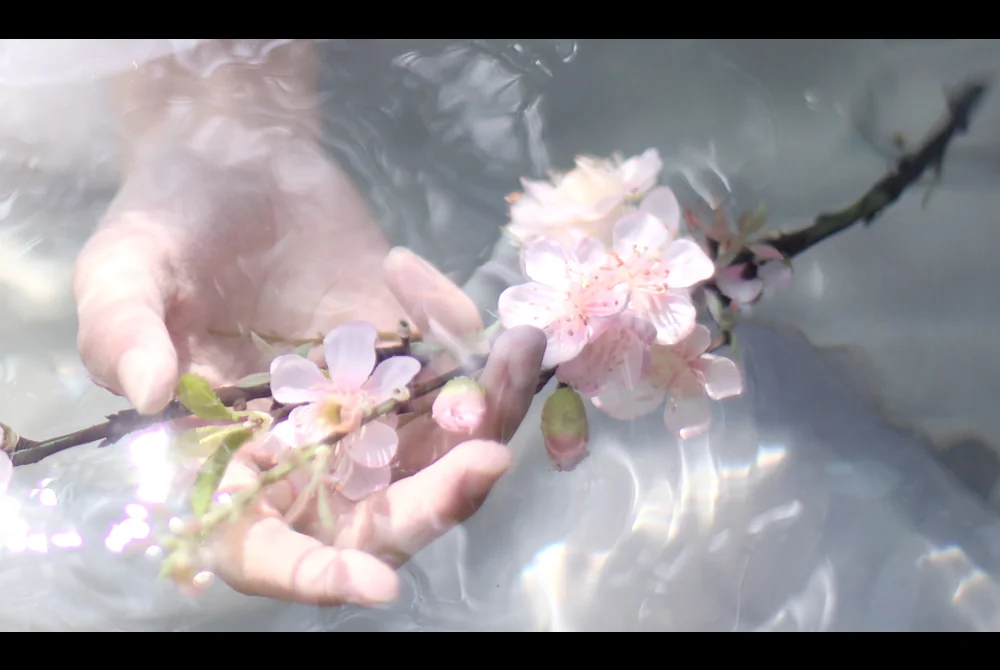 Rigorous 花千骨 白子画cospaly