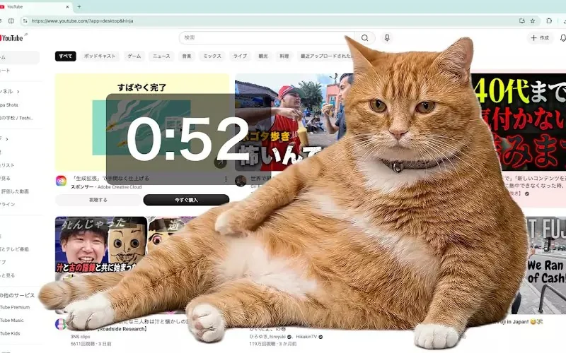 網友開發防沉迷插件《Cat Gatekeeper》上網上太久貓貓就會出現霸佔你的螢幕｜高清图片集
