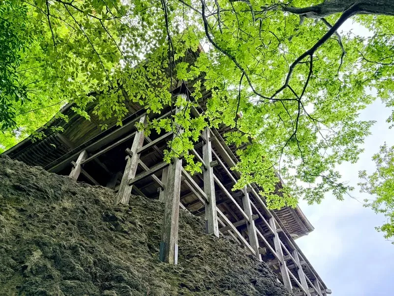 獨旅的缺點就是不能去看《日本最危險國寶》但也是認識新朋友的大好機會？｜高清图片集