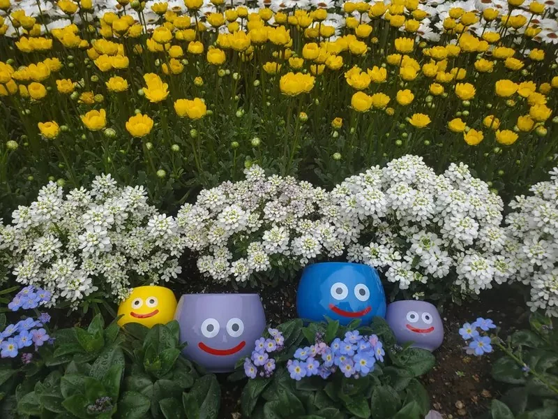 4月份發售的《史萊姆多功能鍋》能當花盆或是小物收納，甚至還可作為餐具使用多種用途超可愛❤｜高清图片集
