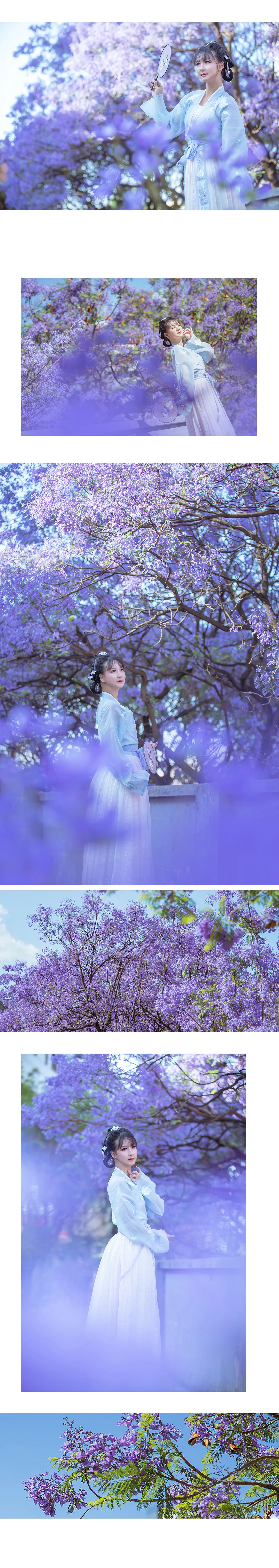汉服蓝花楹｜高清图片集