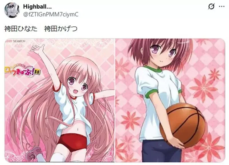 《動漫中的姊妹》妹妹常常長得比姊姊成熟？宅宅們腦中浮現出各種例子了｜高清图片集