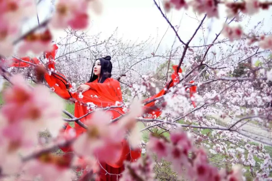 十里桃花 白浅COS写真