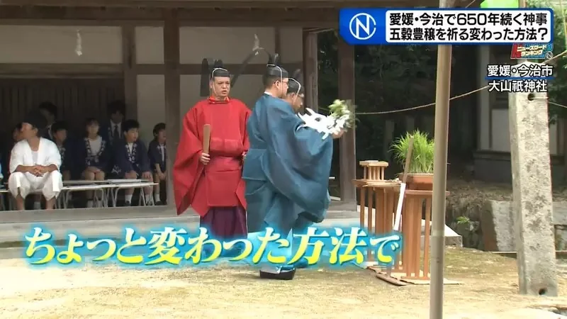 日本奇妙祭典《跟稻田精靈比相撲》唯一的力士後繼無人好苦惱｜高清图片集