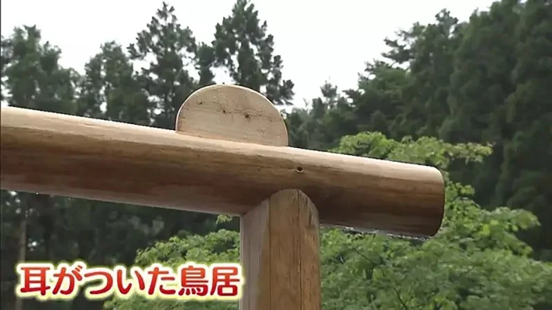 世界首座《玩偶神社》從事娃活的大家都來這裡向玩偶表達感謝吧｜高清图片集