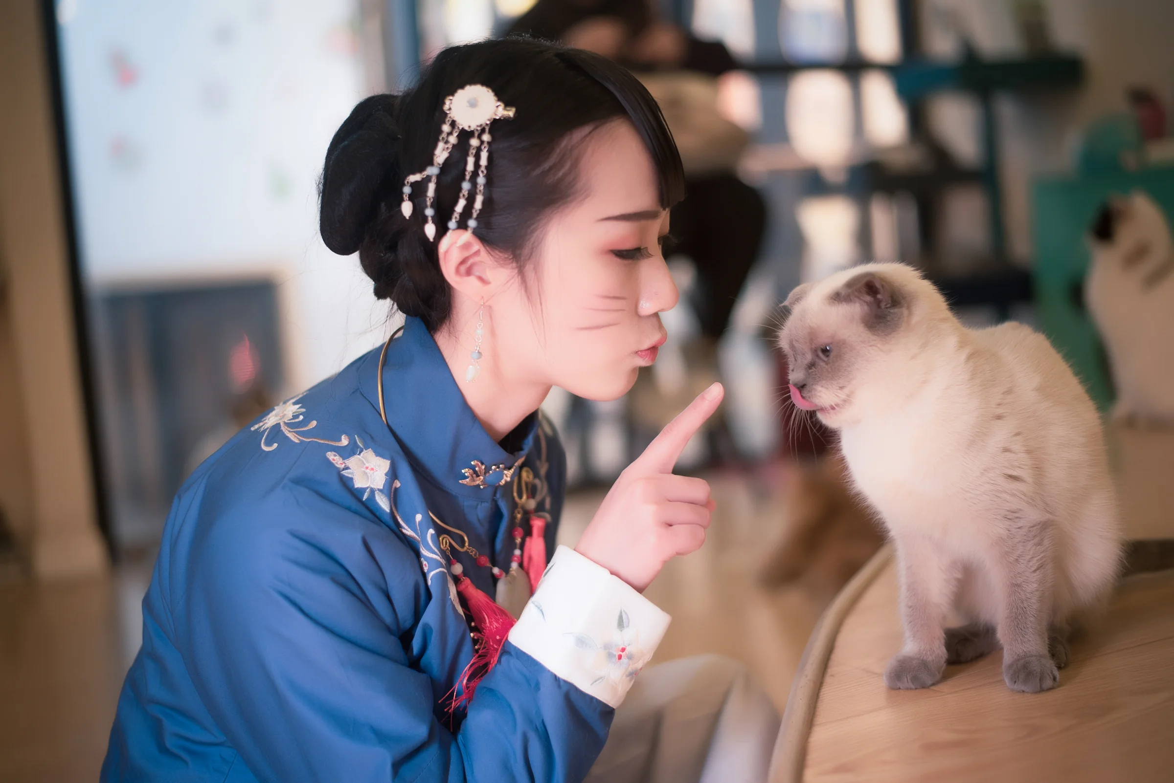 汉服日常#猫趣#｜高清图片集