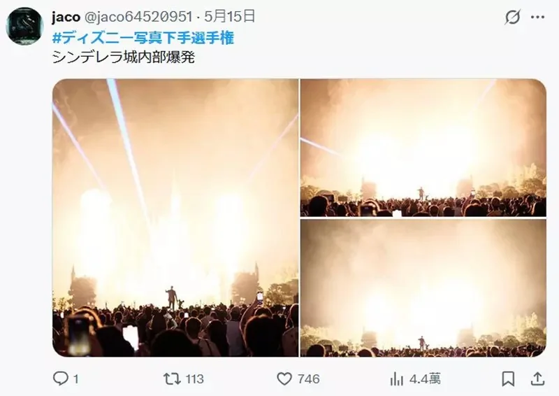 推特話題《迪士尼樂園翻車照大賽》網友投稿各種超神NG照片｜高清图片集