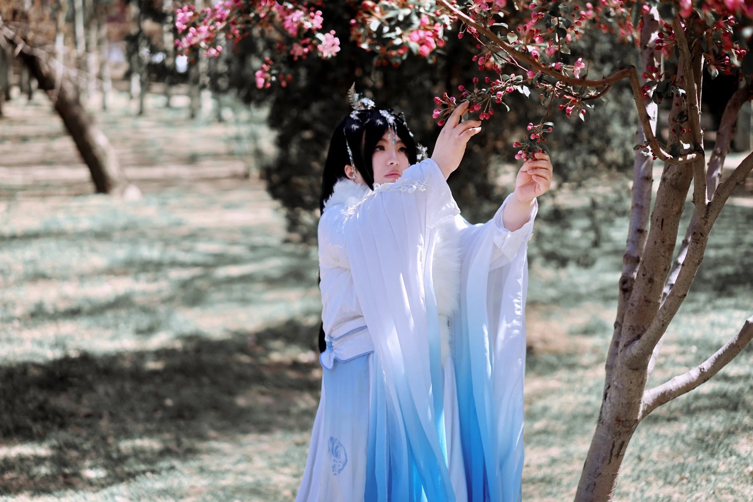 祸国 姜沉鱼COS写真