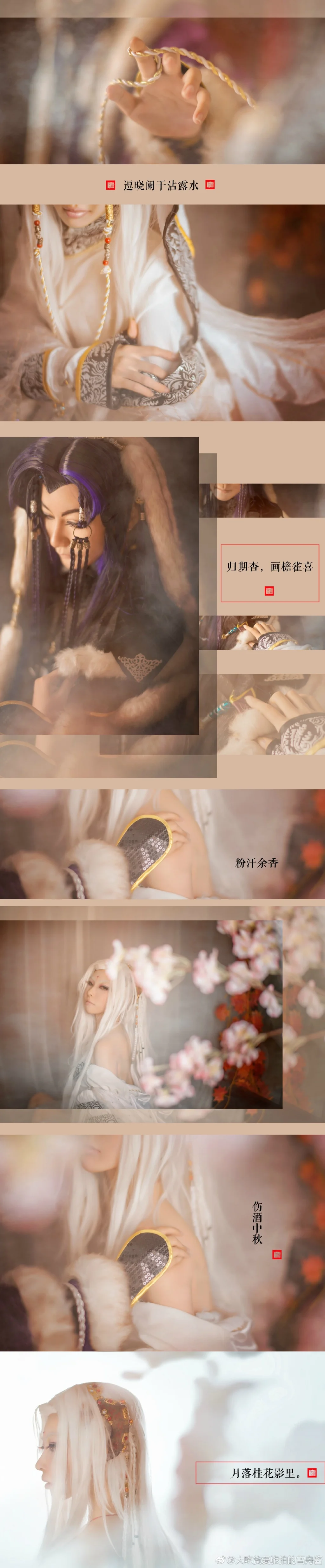 金光布袋戏苍俏COS写真