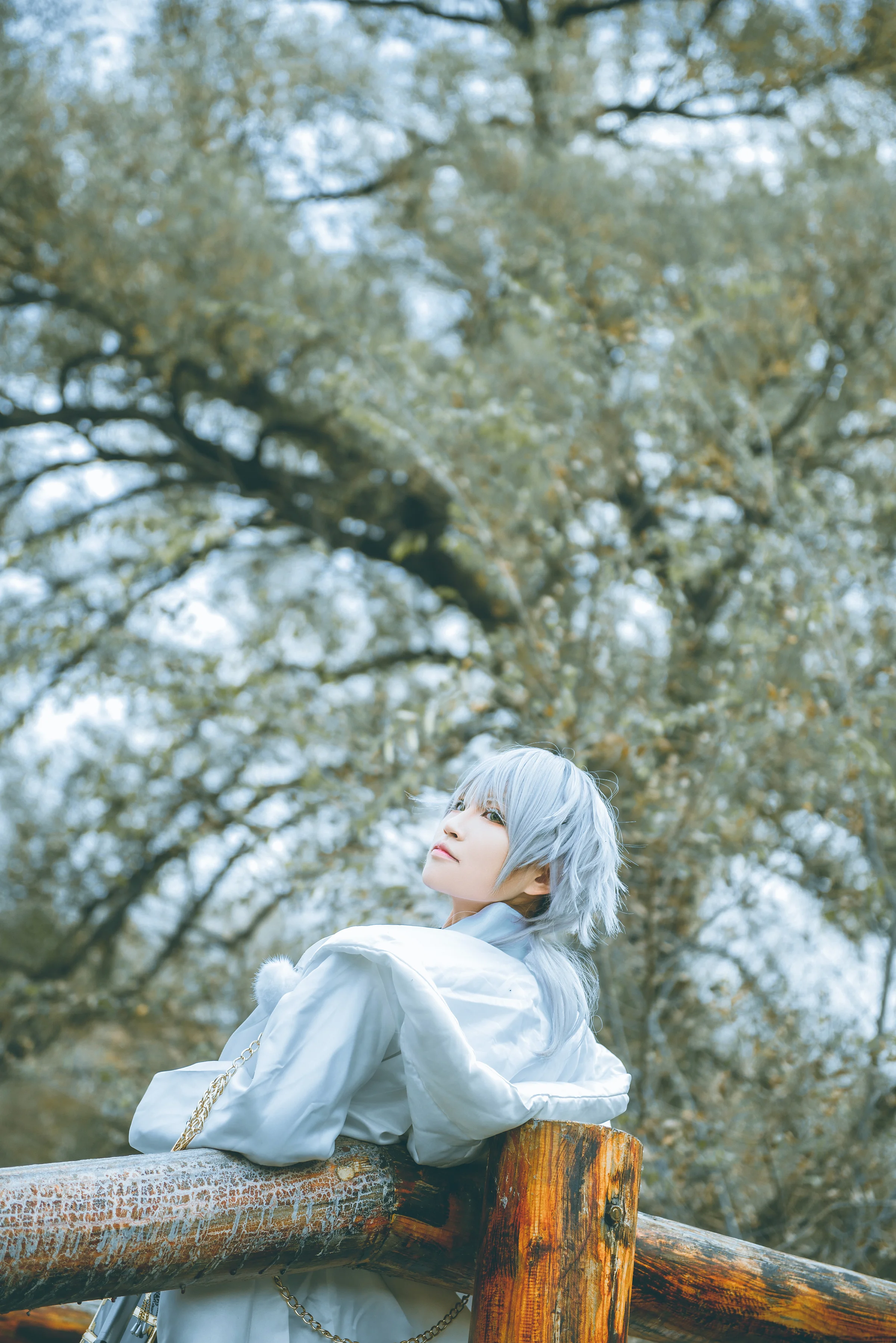 刀剑乱舞 秋日之鹤COS写真