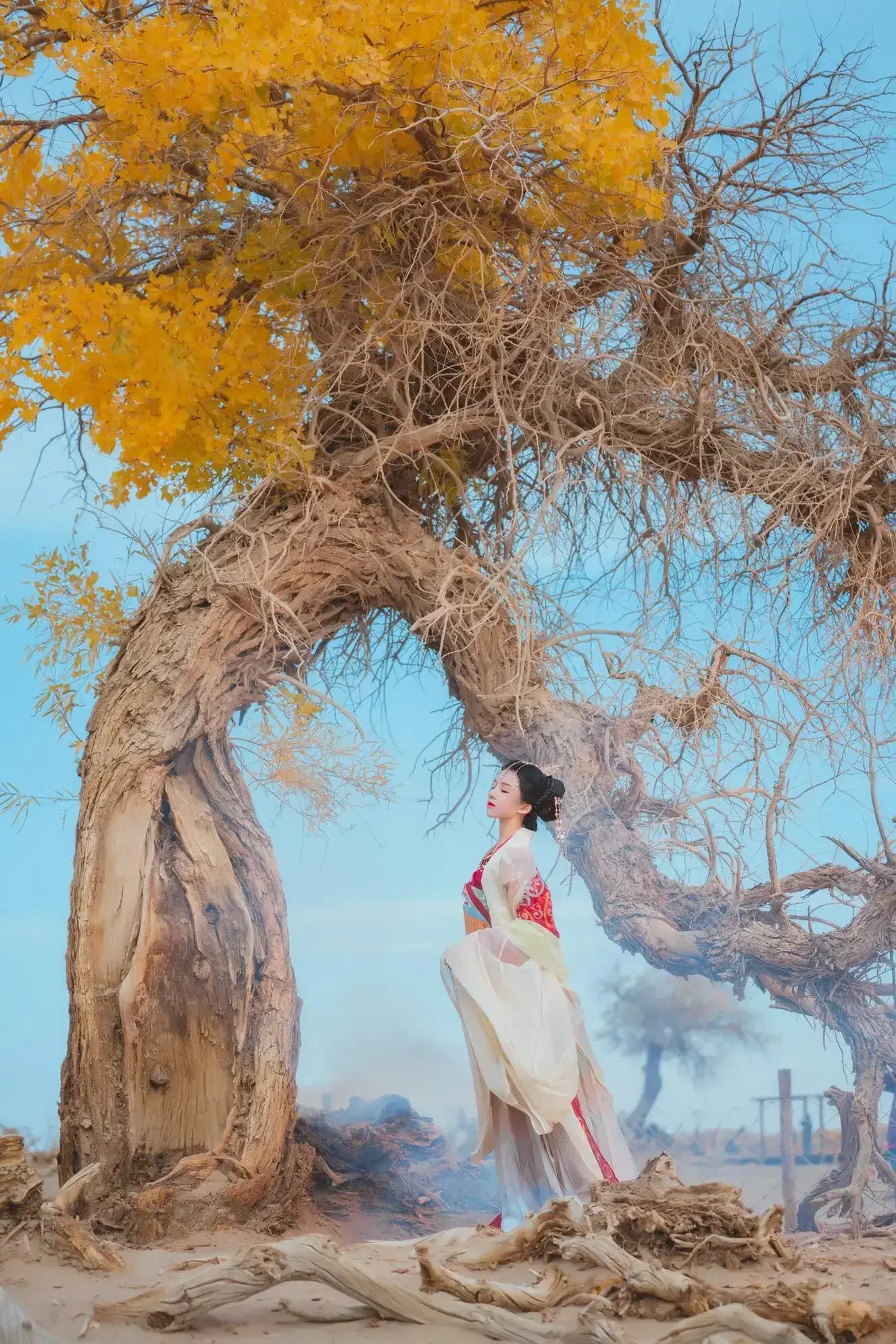 桜桃喵 – 惊鸿｜高清图片集