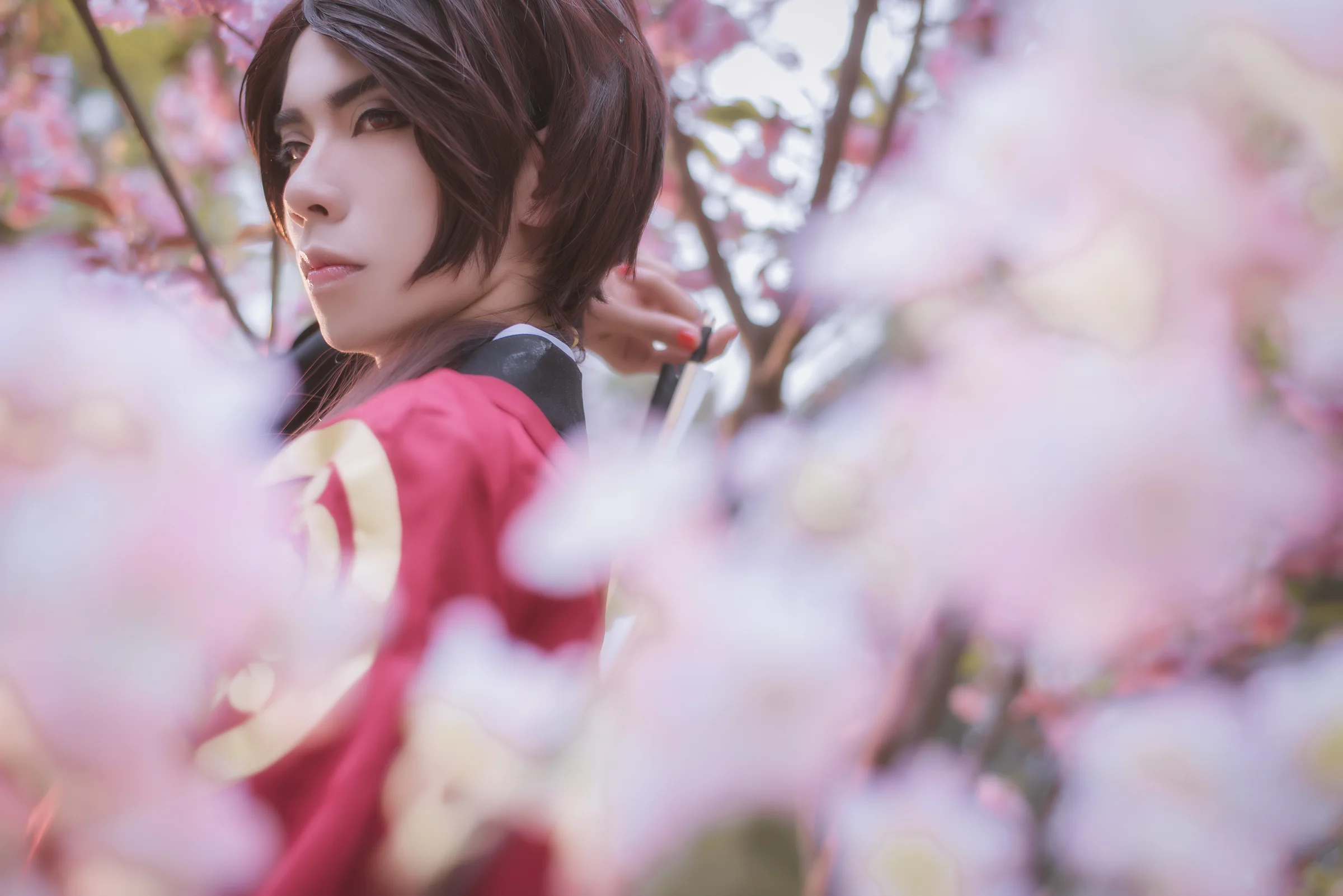 刀剑乱舞加州清光COS写真，果然樱花和武士刀也是一种浪漫~