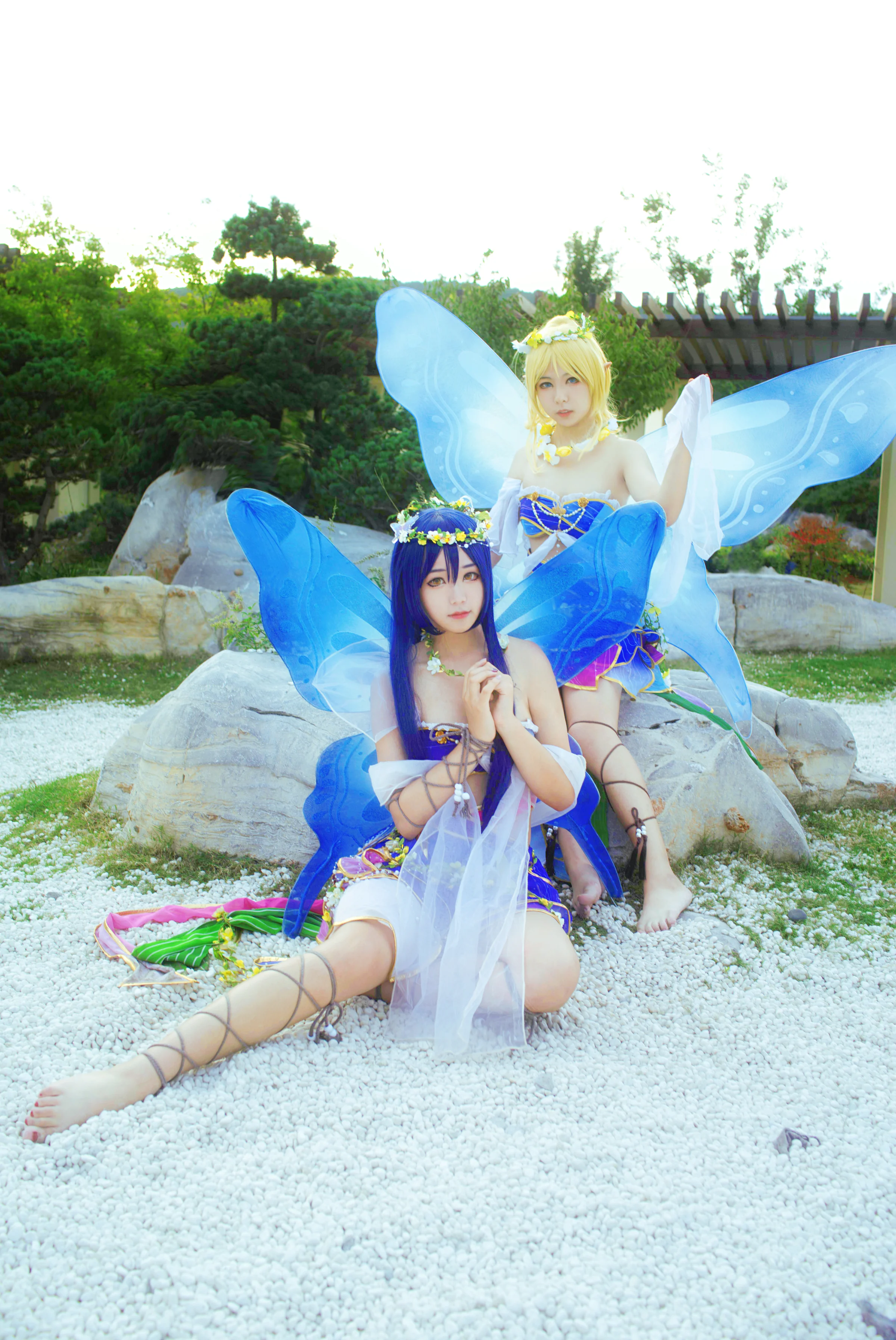 lovelive! 花妖觉醒COS写真