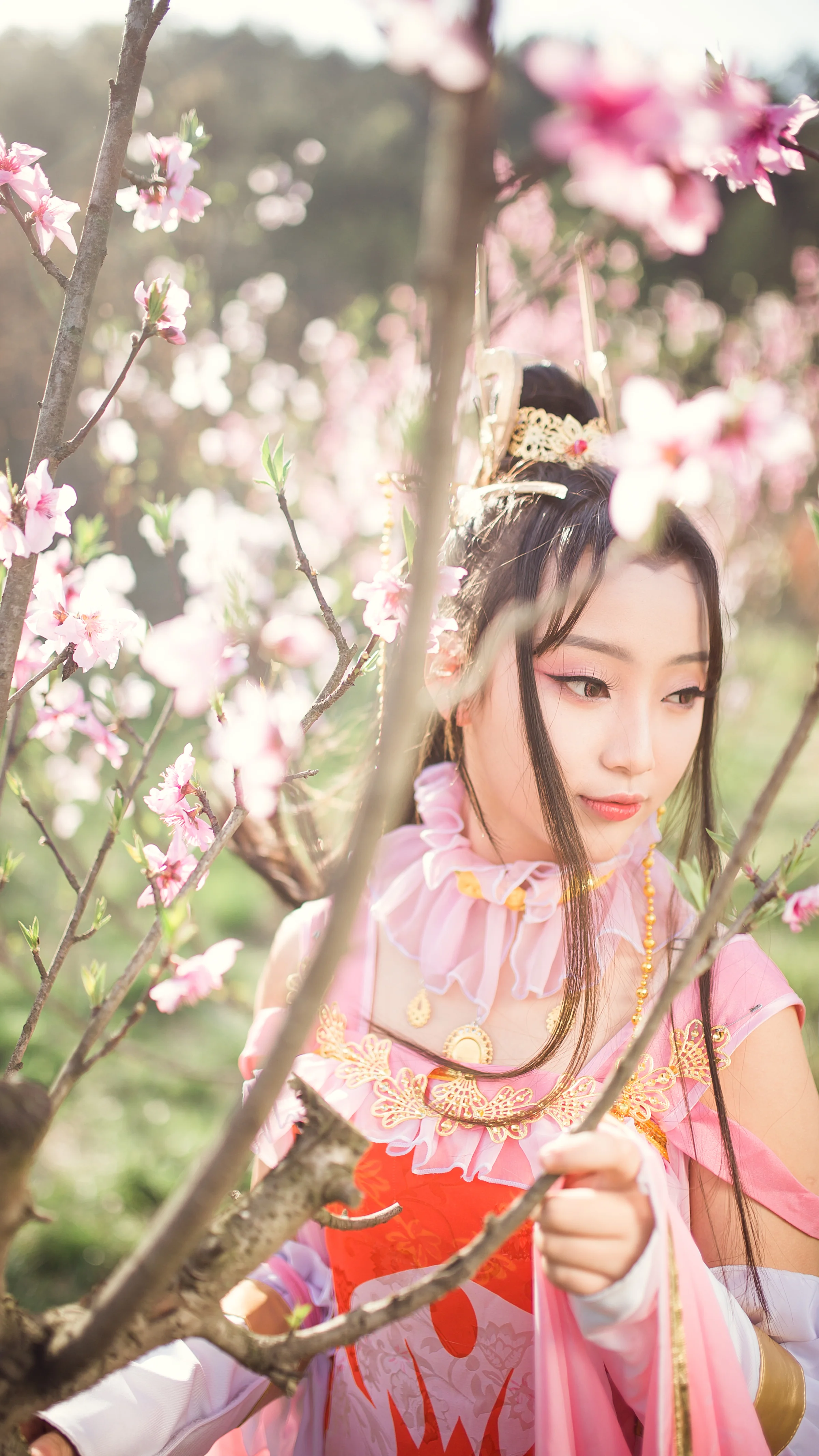 《剑网三》儒风秀姐COS写真