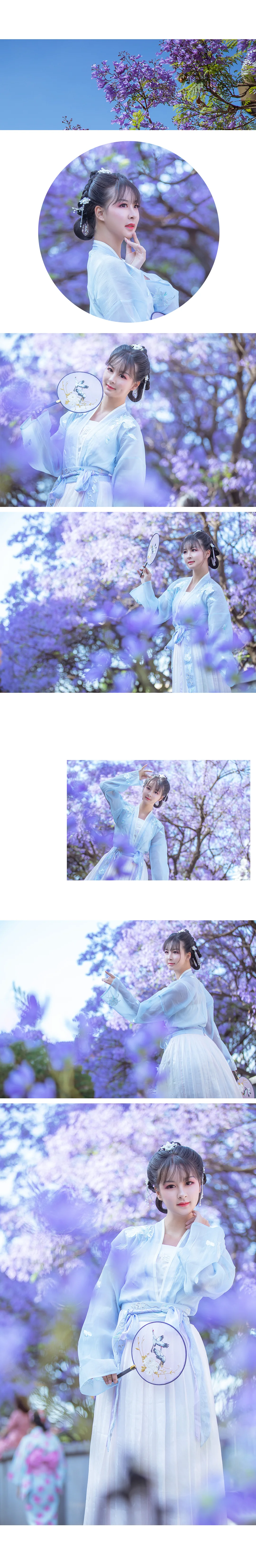 汉服蓝花楹｜高清图片集