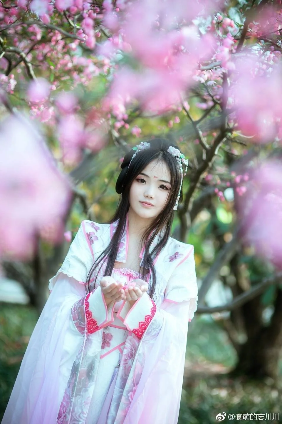 祸国 少女姜沉鱼COS写真