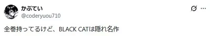 日本網友覺得矢吹健太朗的《黑貓》如果放到現在連載應該會爆紅｜高清图片集