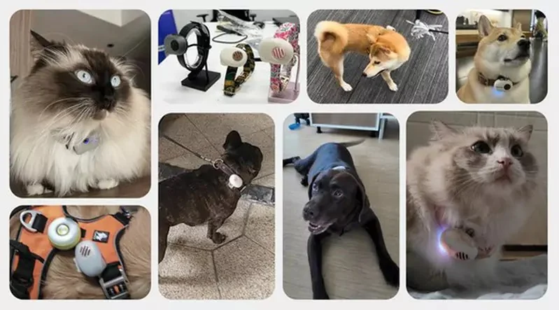 能夠與寵物溝通的翻譯機《PettiChat》問世，據說能精準翻譯毛孩跟飼主講的話！？｜高清图片集