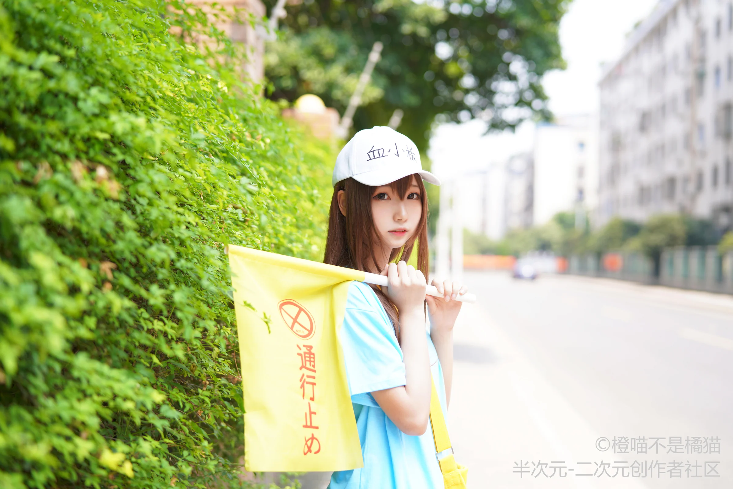 工作细胞 血小板COS写真