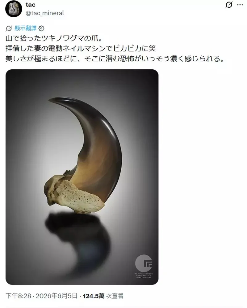 網友分享《用電動美甲機打磨拋光的黑熊爪》越覺得它漂亮就越感受到當中的恐怖(怕)｜高清图片集