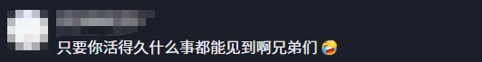 佐菲和初音未来等了多年的“婚礼”，被迪迦截胡了｜高清图片集