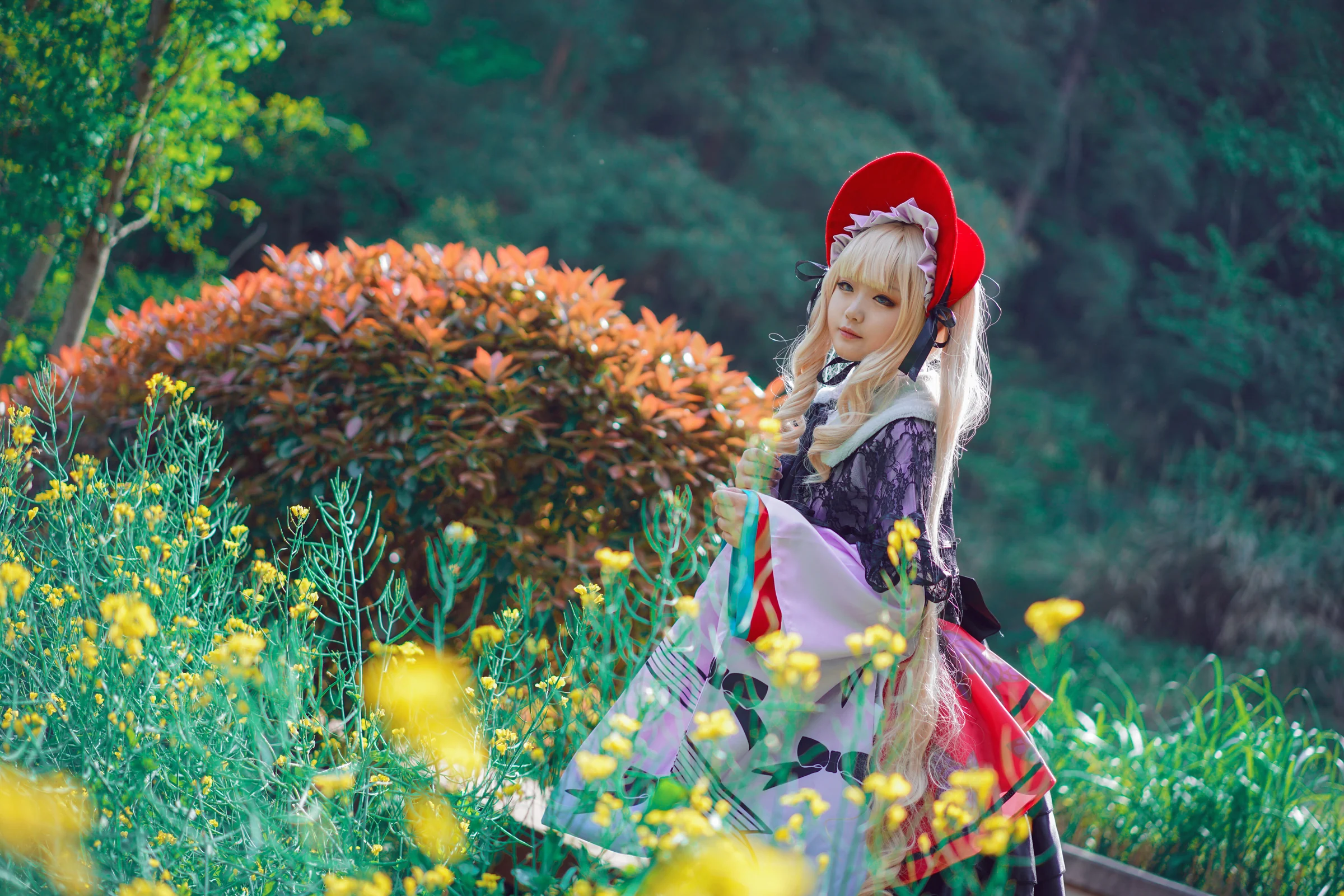 蔷薇少女 真红COS写真