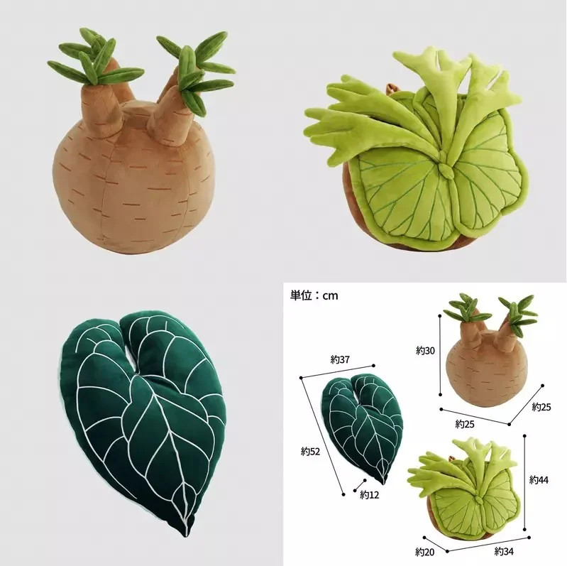 《植物絨毛抱枕》推出 無需澆水也不用擔心枯萎植物系宅小物｜高清图片集