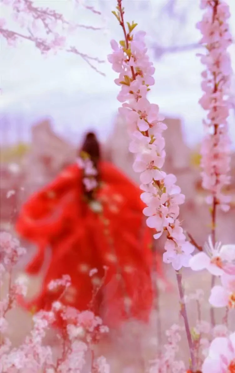 十里桃花 白浅COS写真