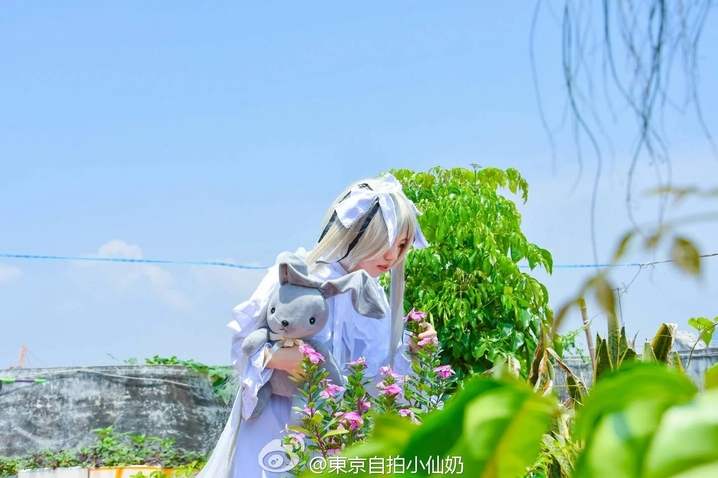 缘之空-春日野穹妹COS写真
