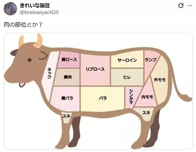 《超愛擬人化的日本人》有沒有任何東西還沒被擬人化呢？｜高清图片集